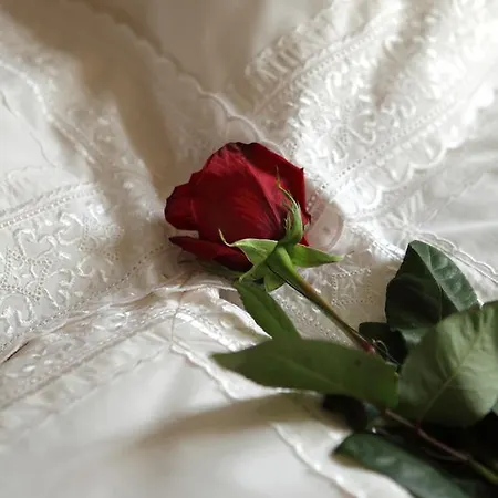 Antik Pratterov Dom Apartamento Banská Štiavnica