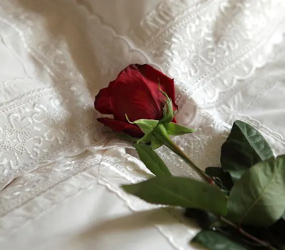 Antik Pratterov Dom Διαμέρισμα Banská Štiavnica